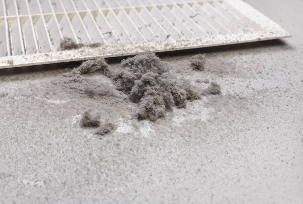 Best HVAC Maintenance and Cleaning  in Cottageville, SC