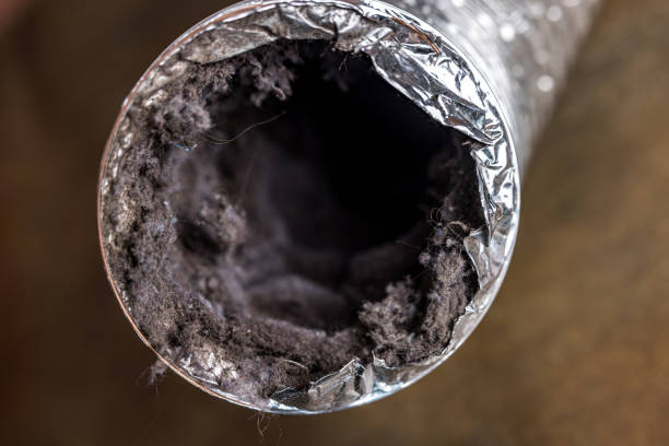 Best Best Air Duct Cleaning Company  in Cottageville, SC